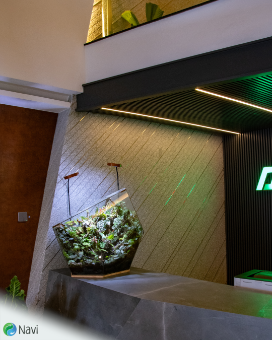 2024-04-15 Project Phi Thuyền T trệt Q4 1080x1350 logo goc Instagram 1