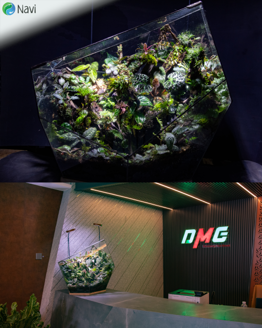 2024-04-15 Project Phi Thuyền T trệt Q4 1080x1350 logo goc Instagram 3